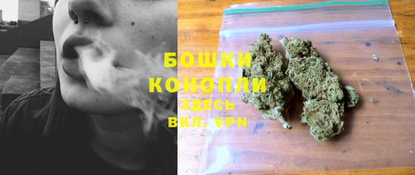 гидропоника Покачи