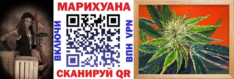 Конопля семена  omg вход  Славск 